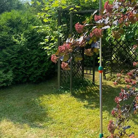 Privat bolig Vanessa Olsztyn (Warmian-Masurian)